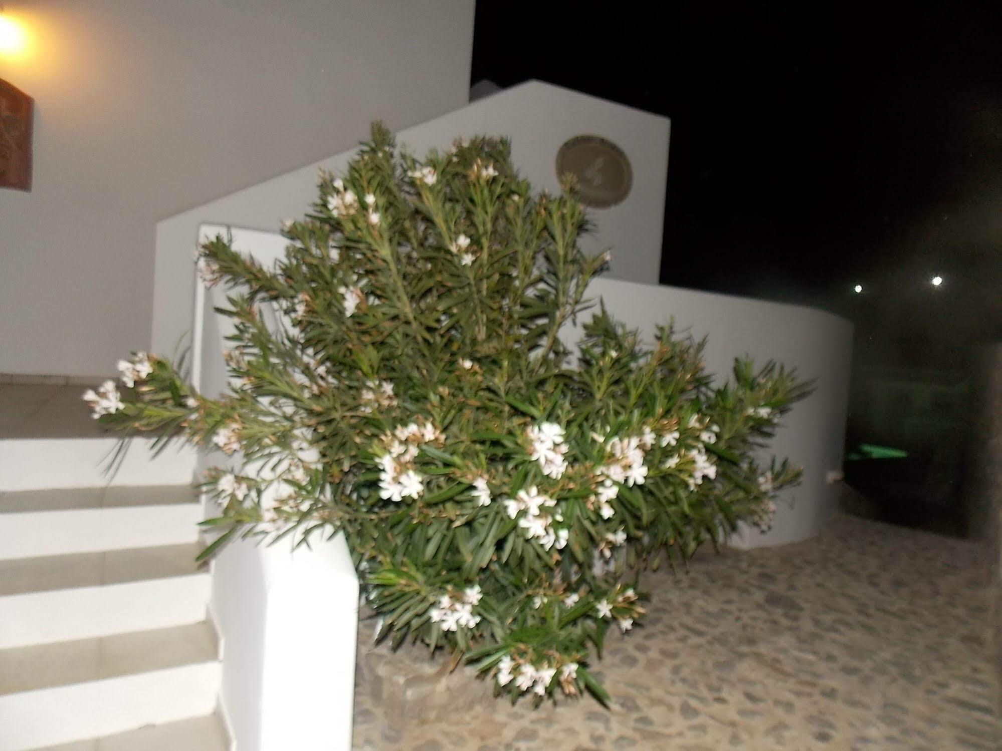 Lavarock Santorini Perissa  Exterior photo